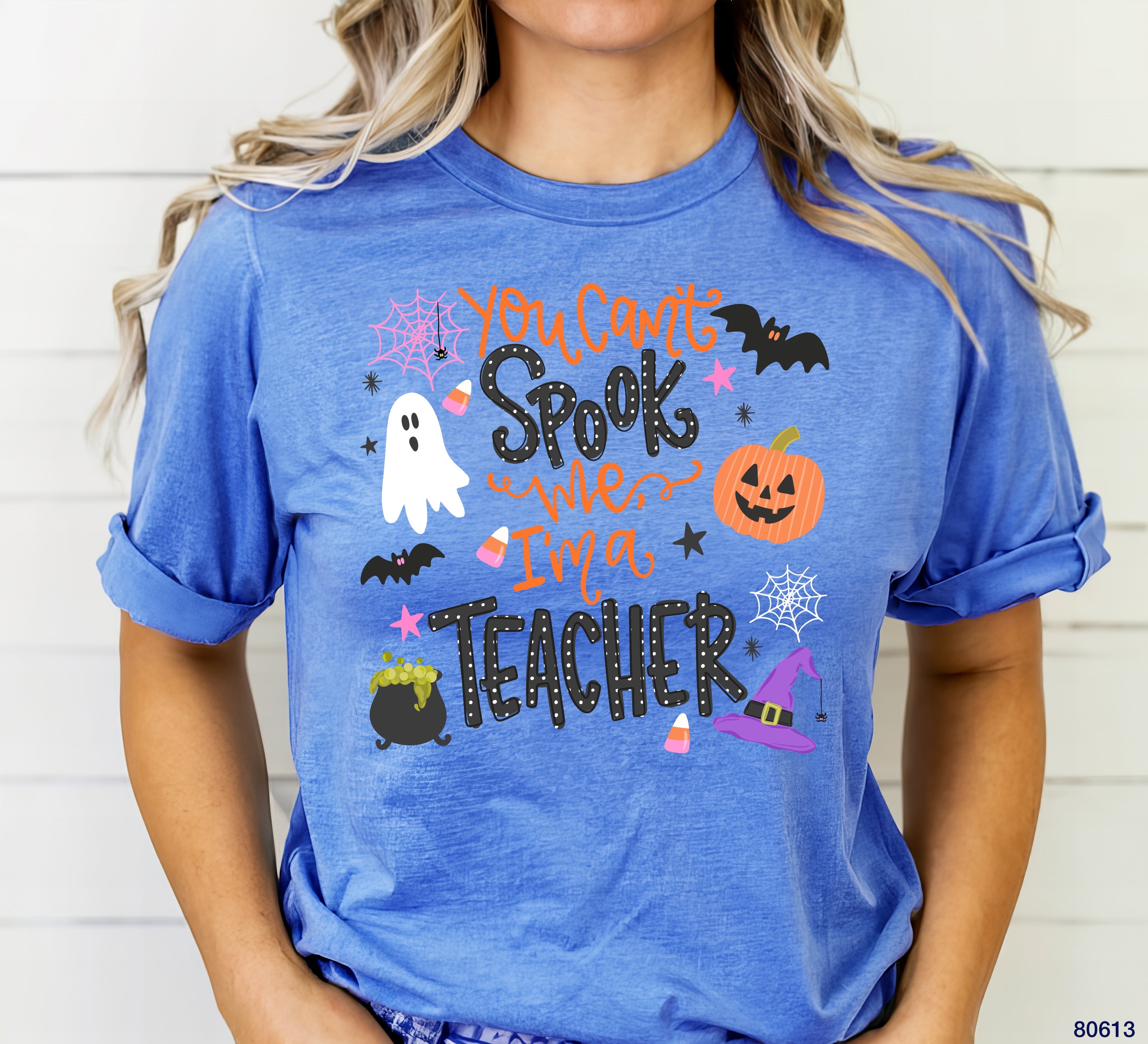 80613 YOU CANT SPOOK ME IM A TEACHER