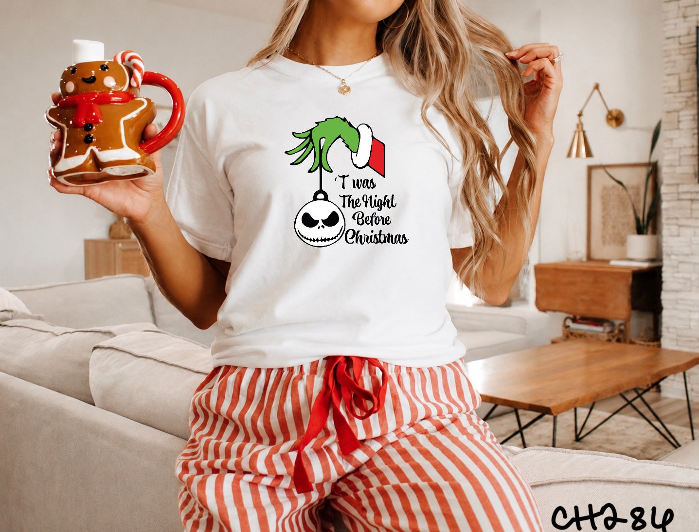 Ch286 night before Christmas