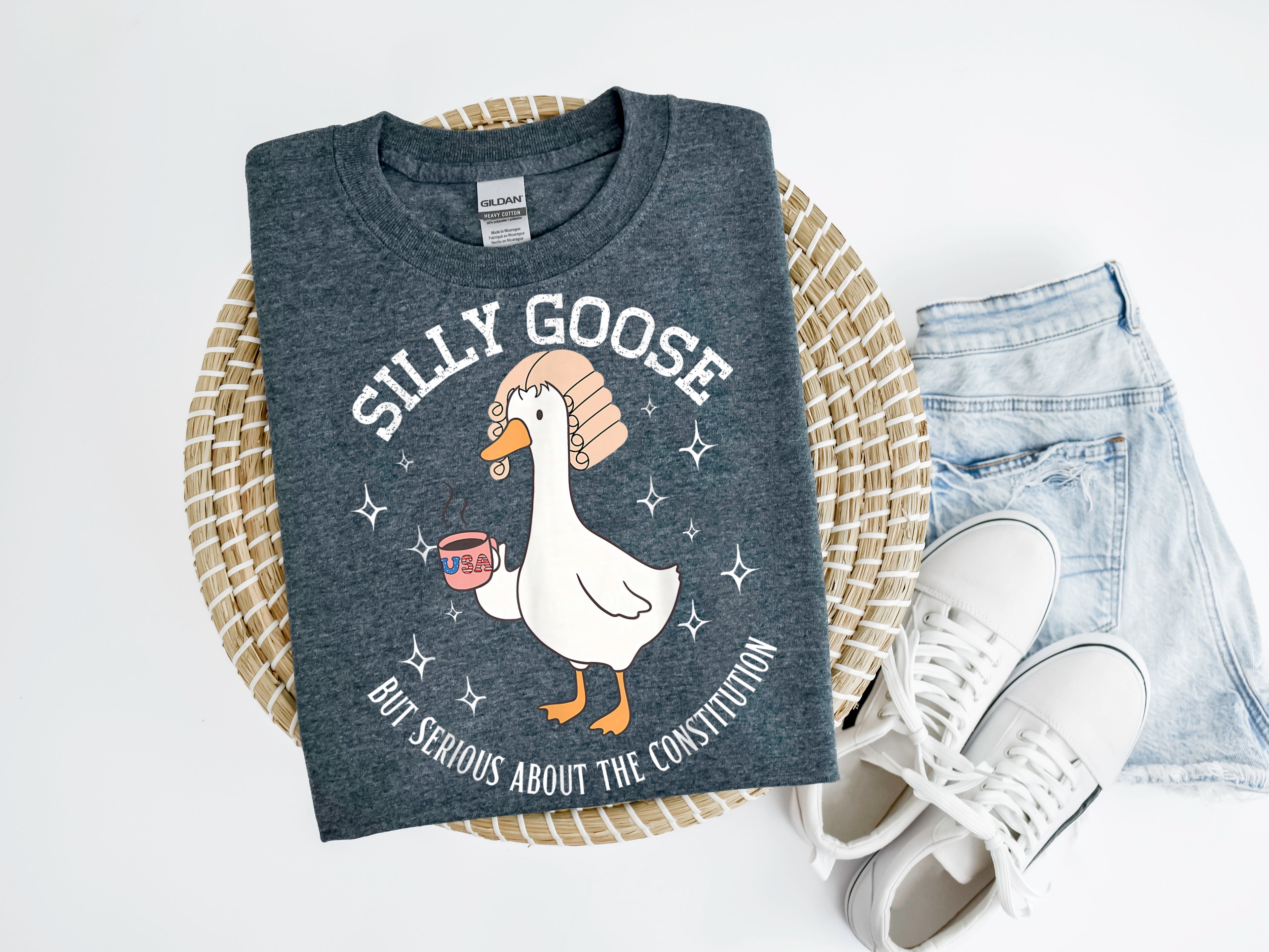 DTF Silly Goose Constitution 2-087